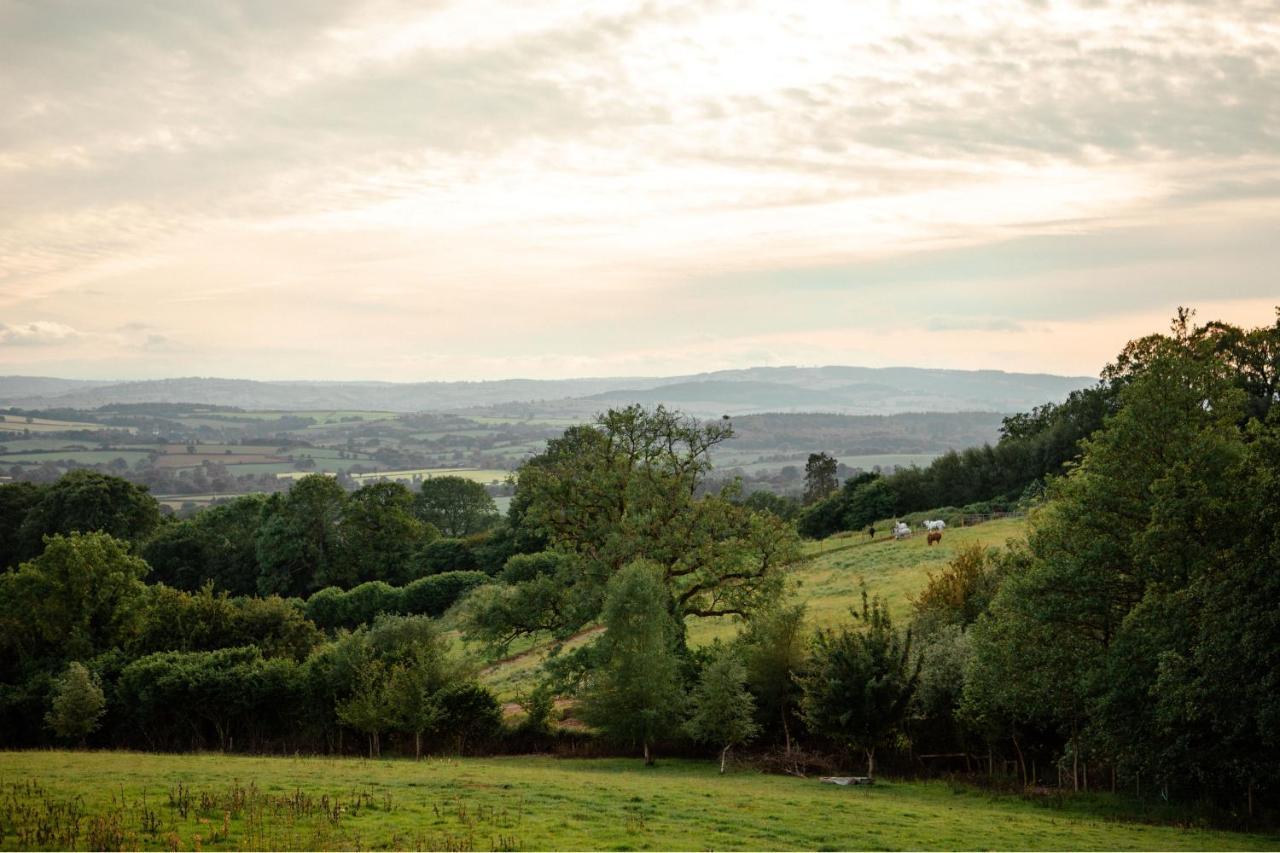 The Rising Sun Inn West Bagborough Exteriér fotografie